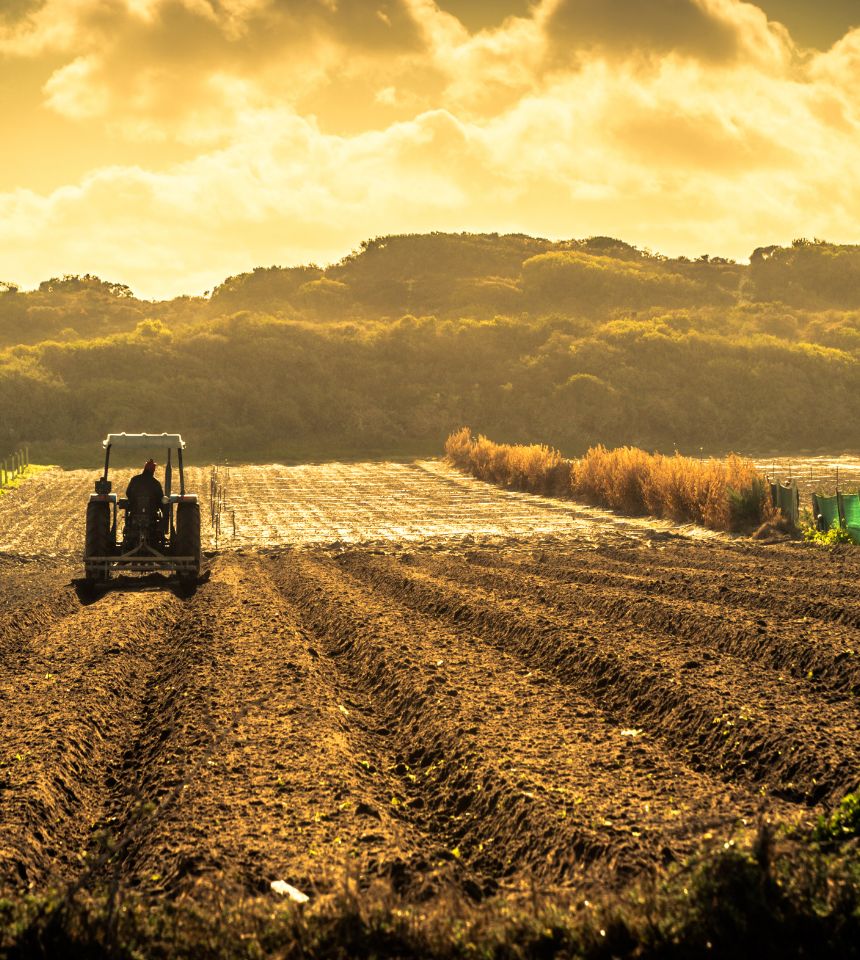 Agricultural Products
