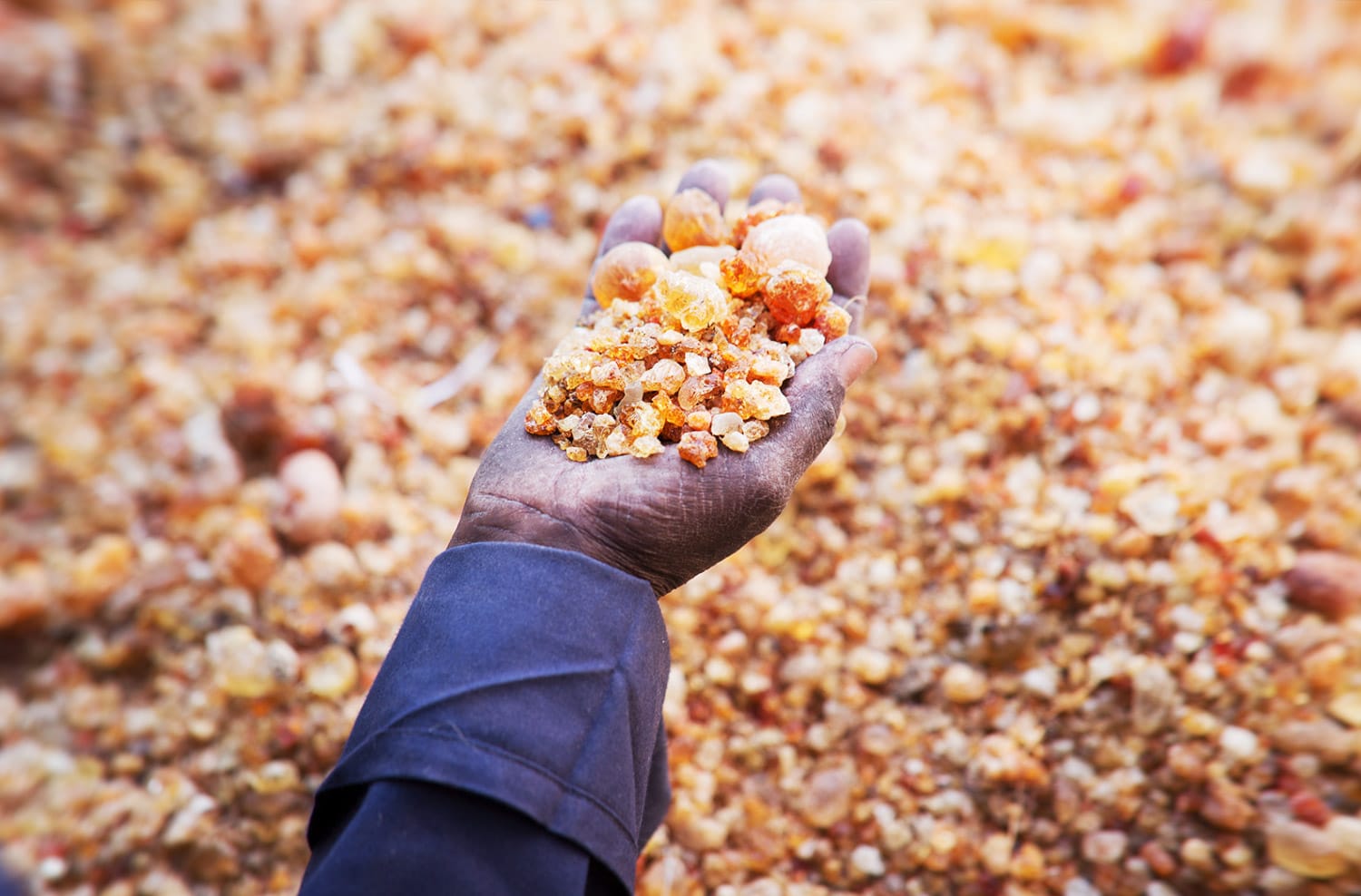 Quality & Sustainability